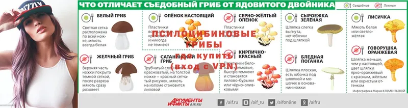 Галлюциногенные грибы GOLDEN TEACHER  купить наркотики цена  Казань 